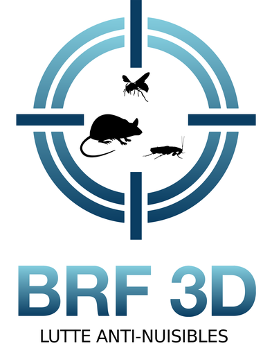 Brf 3D