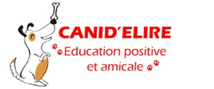 Canid'élire