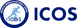 Icos13