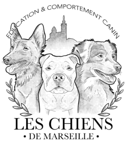 Les Chiens de Marseille