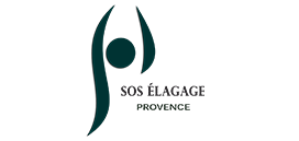 Sos élagage Marseille